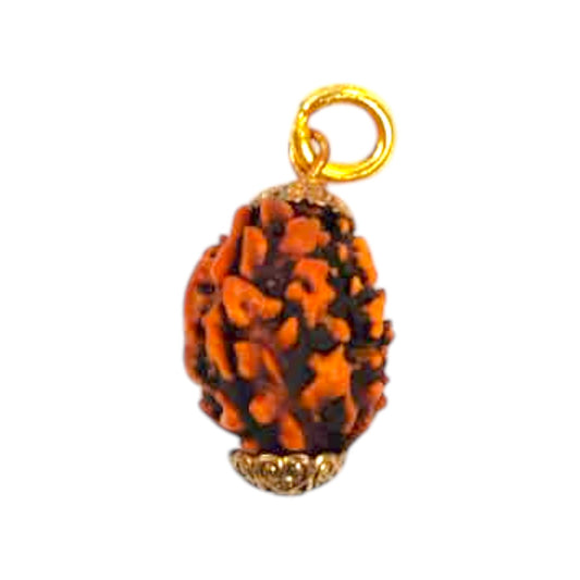 Natural 3 Mukhi Rudraksha Pendant