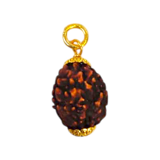 Natural 3 Mukhi Rudraksha Pendant