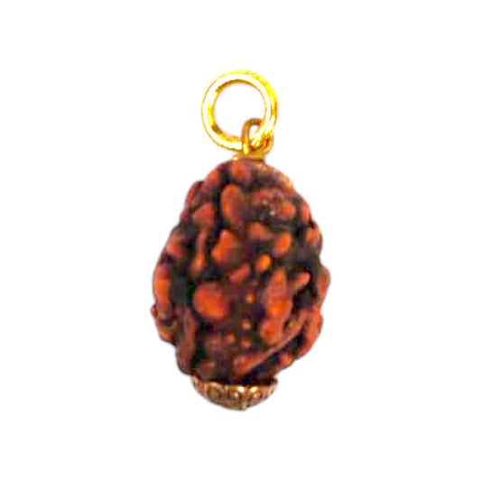 Natural 3 Mukhi Rudraksha Pendant