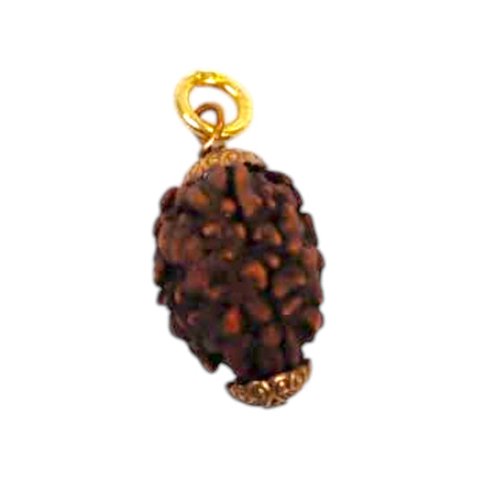 Natural 3 Mukhi Rudraksha Pendant