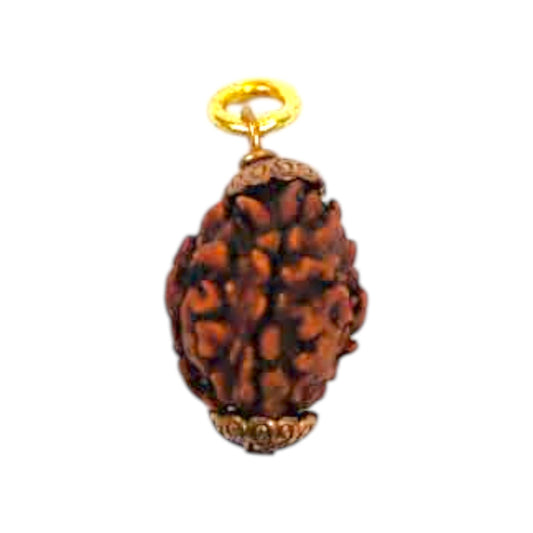 Natural 3 Mukhi Rudraksha Pendant