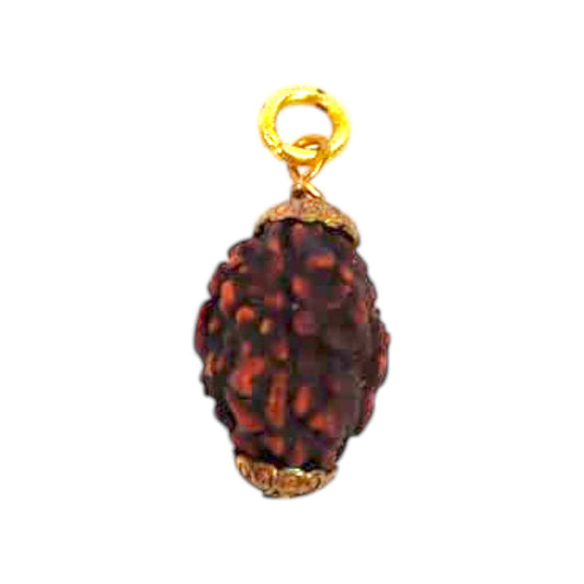Natural 3 Mukhi Rudraksha Pendant