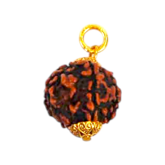 Natural 5 Mukhi Rudraksha Pendant