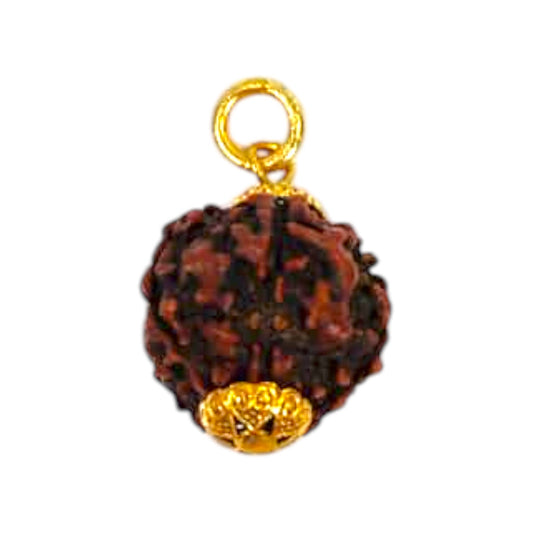 Natural 5 Mukhi Rudraksha Pendant