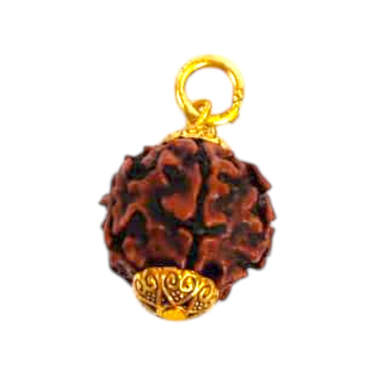 Natural 5 Mukhi Rudraksha Pendant