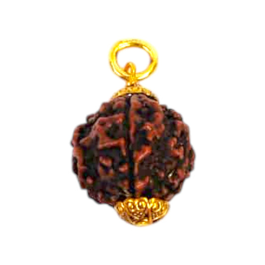 Natural 5 Mukhi Rudraksha Pendant