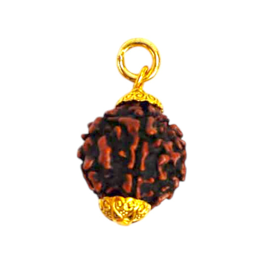 Natural 5 Mukhi Rudraksha Pendant