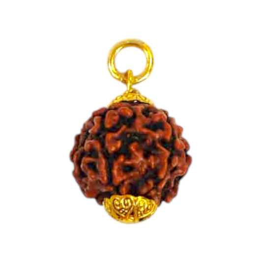 Natural 5 Mukhi Rudraksha Pendant
