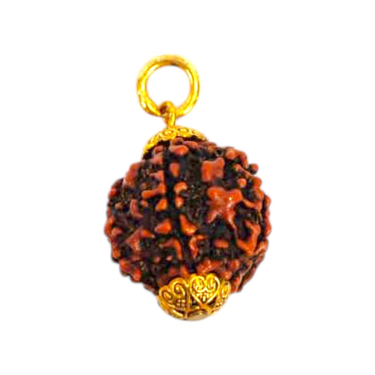 Natural 5 Mukhi Rudraksha Pendant