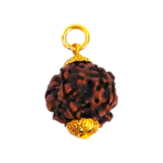 Natural 5 Mukhi Rudraksha Pendant