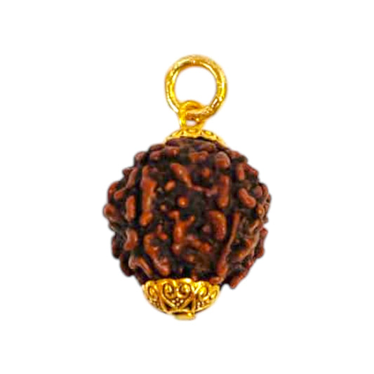 Natural 5 Mukhi Rudraksha Pendant