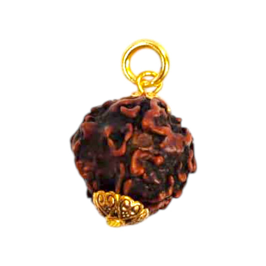 Natural 5 Mukhi Rudraksha Pendant
