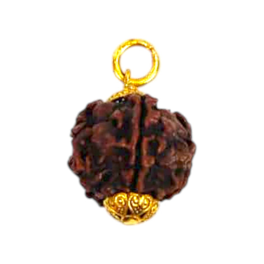 Natural 5 Mukhi Rudraksha Pendant