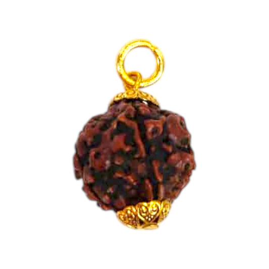 Natural 5 Mukhi Rudraksha Pendant