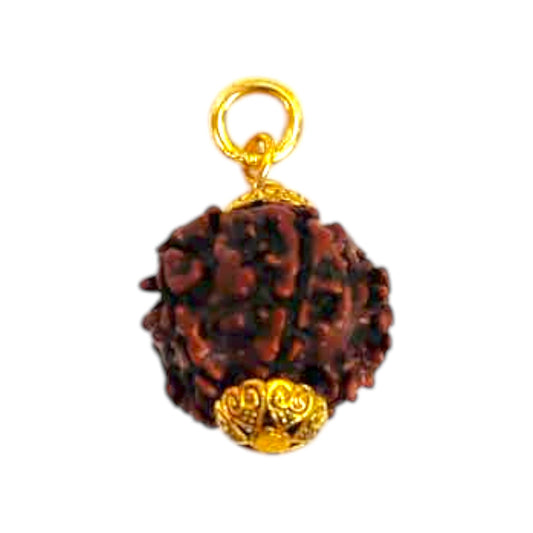 Natural 5 Mukhi Rudraksha Pendant