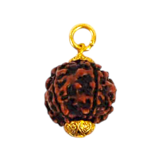 Natural 5 Mukhi Rudraksha Pendant