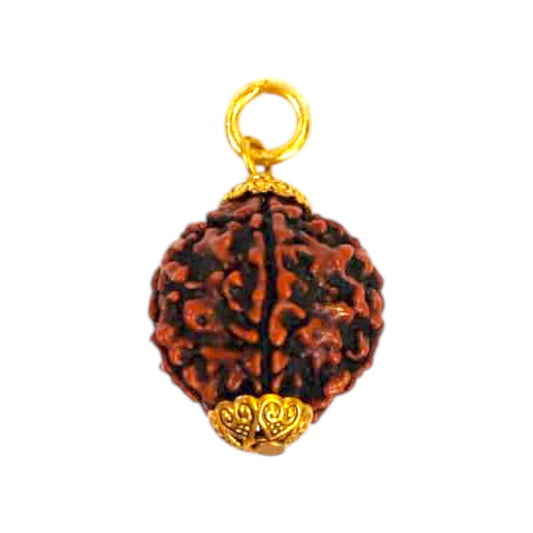 Natural 5 Mukhi Rudraksha Pendant