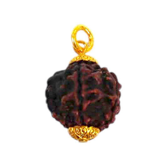 Natural 5 Mukhi Rudraksha Pendant