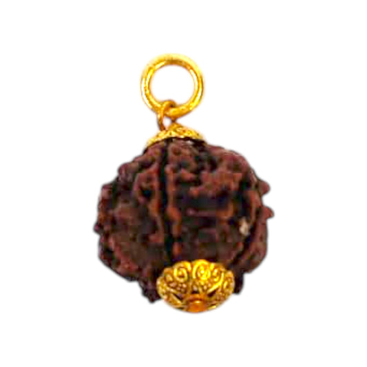 Natural 5 Mukhi Rudraksha Pendant