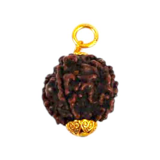 Natural 5 Mukhi Rudraksha Pendant