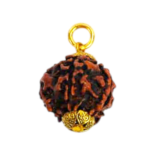 Natural 5 Mukhi Rudraksha Pendant