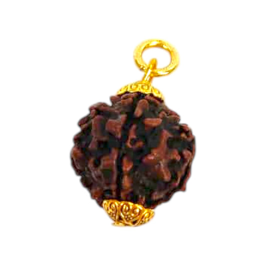Natural 5 Mukhi Rudraksha Pendant