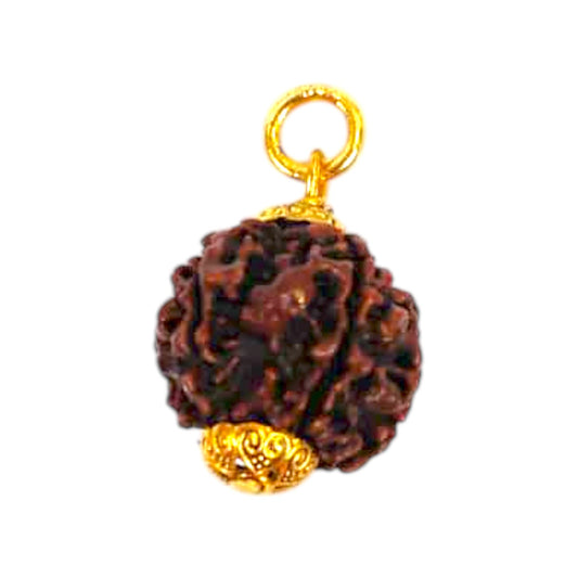 Natural 5 Mukhi Rudraksha Pendant