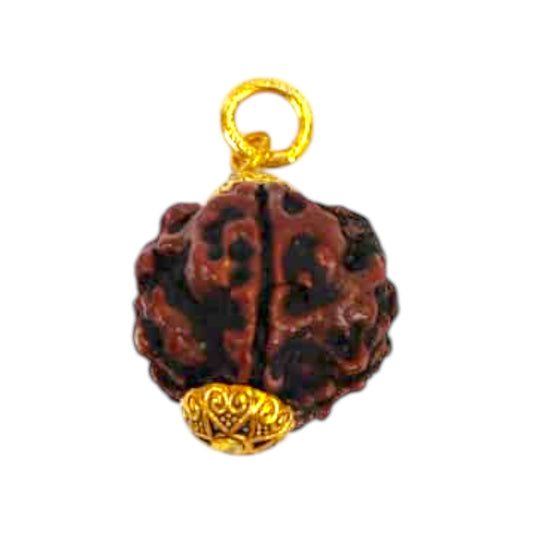 Natural 5 Mukhi Rudraksha Pendant