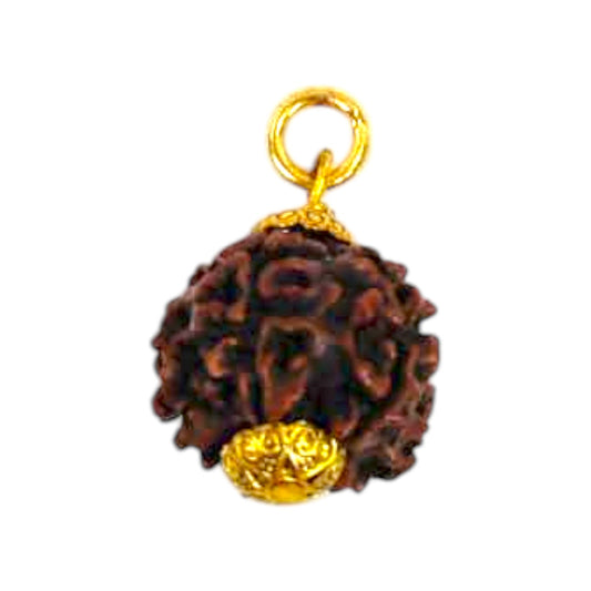 Natural 5 Mukhi Rudraksha Pendant