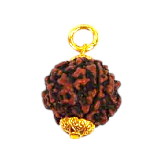 Natural 5 Mukhi Rudraksha Pendant