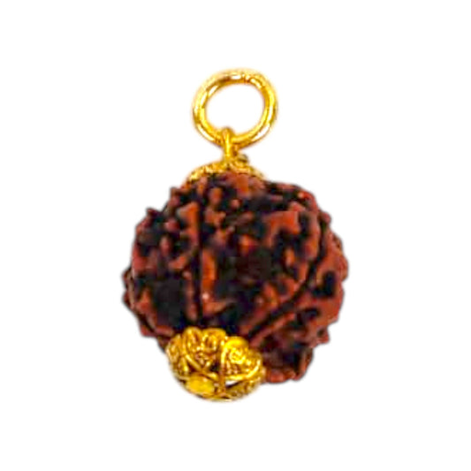 Natural 5 Mukhi Rudraksha Pendant