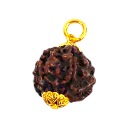 Natural 5 Mukhi Rudraksha Pendant