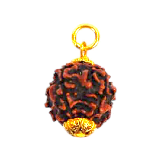 Natural 5 Mukhi Rudraksha Pendant