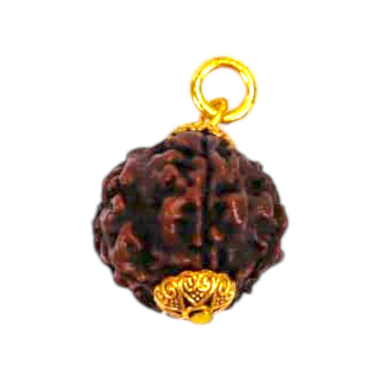 Natural 5 Mukhi Rudraksha Pendant