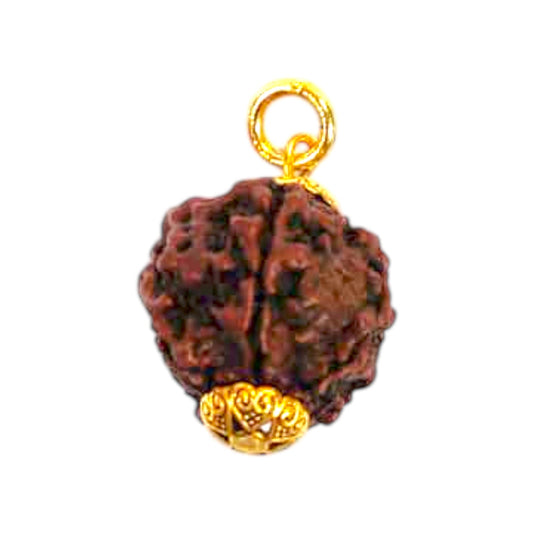 Natural 5 Mukhi Rudraksha Pendant