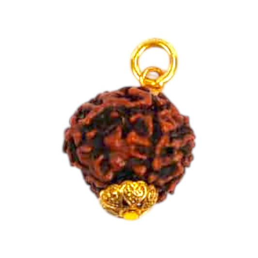 Natural 5 Mukhi Rudraksha Pendant