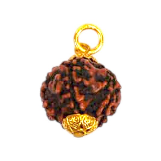 Natural 5 Mukhi Rudraksha Pendant