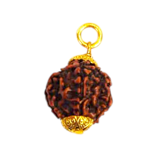 Natural 5 Mukhi Rudraksha Pendant