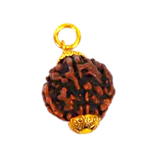Natural 5 Mukhi Rudraksha Pendant