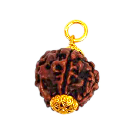 Natural 5 Mukhi Rudraksha Pendant