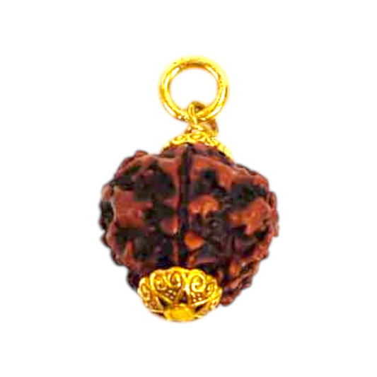 Natural 5 Mukhi Rudraksha Pendant