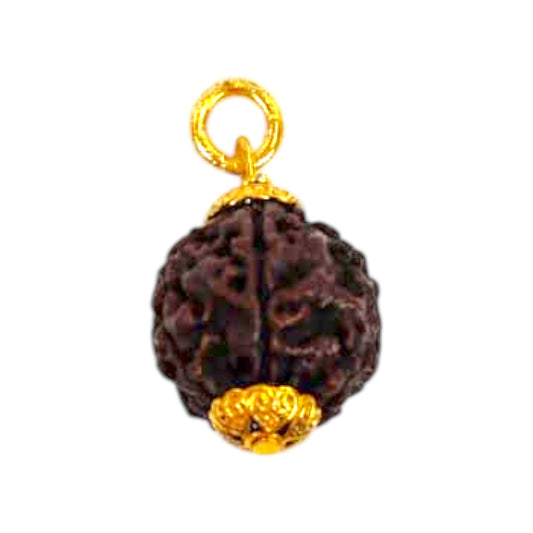Natural 5 Mukhi Rudraksha Pendant