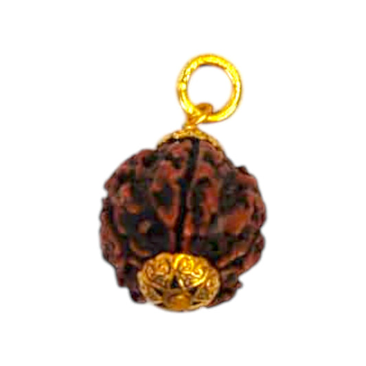 Natural 5 Mukhi Rudraksha Pendant