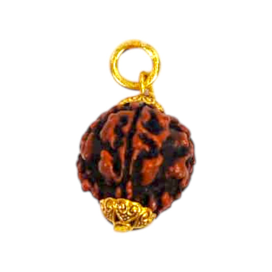 Natural 5 Mukhi Rudraksha Pendant