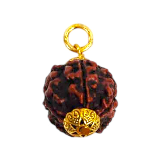 Natural 5 Mukhi Rudraksha Pendant