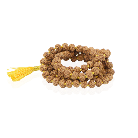 6 Mukhi Nepali Rudraksha Mala 108+1 Beads (10mm)