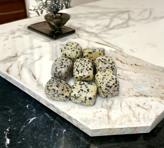 Dalmation Jasper Tumble Stones