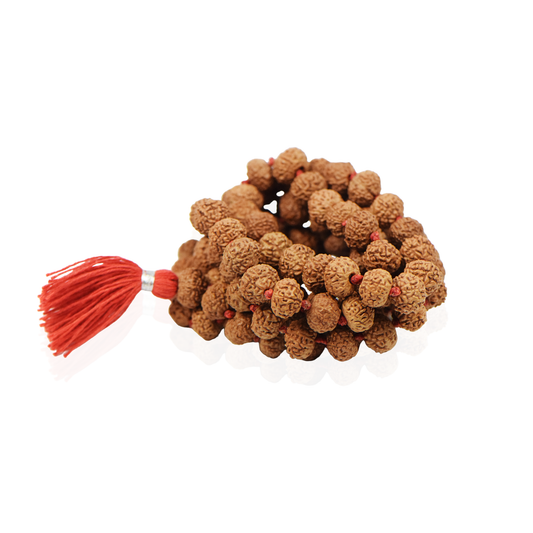 8 Mukhi Nepali Rudraksha Mala 108+1 Beads (10mm)