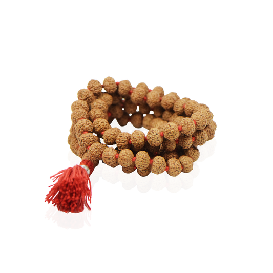 10 Mukhi Nepali Rudraksha Mala 108+1 Beads (14mm)