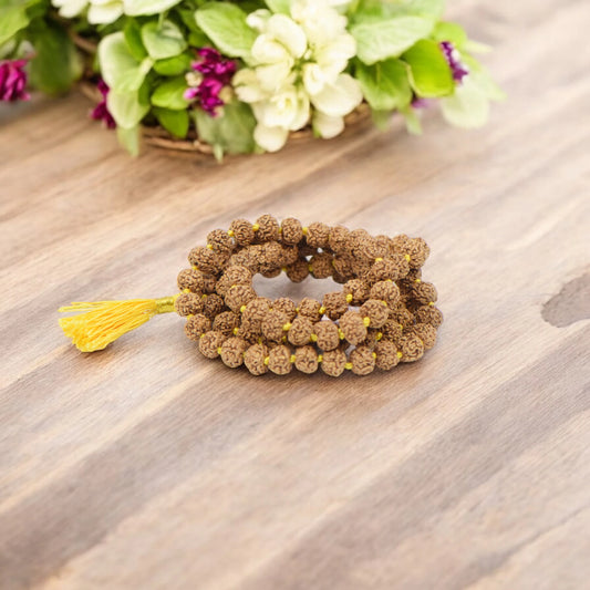 6 Mukhi Nepali Rudraksha Mala 108+1 Beads (10mm)